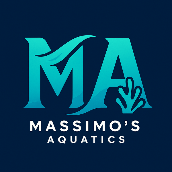 Massimo's Aquatics