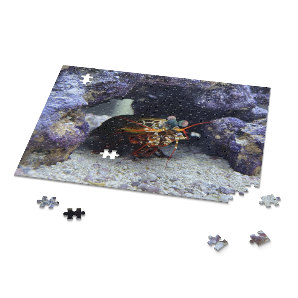 [International Shipping] Kai Puzzle (120, 252, 500-Piece)