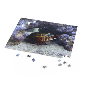 [International Shipping] Kai Puzzle (120, 252, 500-Piece)